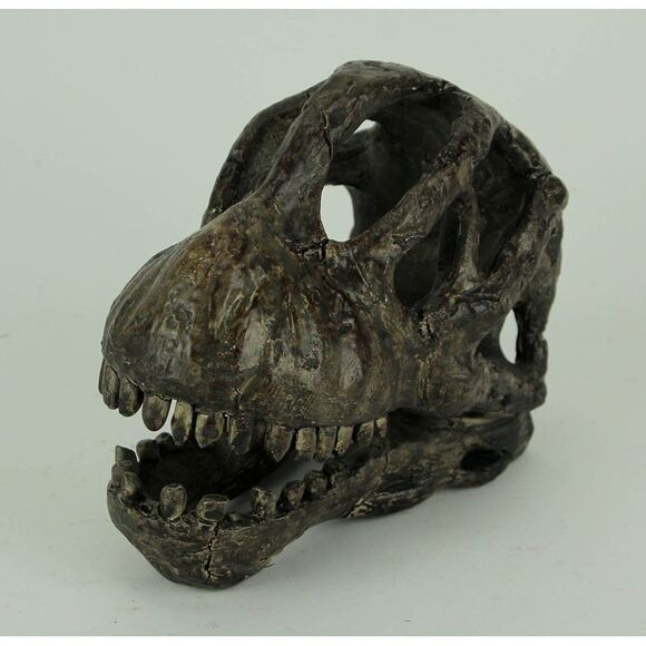 Brachiosaurus Dinosaur Head Fossil Statue Small - Picture 2 of 4